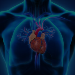 CPD for Qualified Pharmacy Technicians (eLearning) - Heart Health