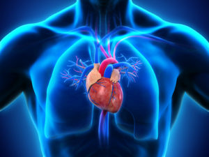 Heart Health CPD