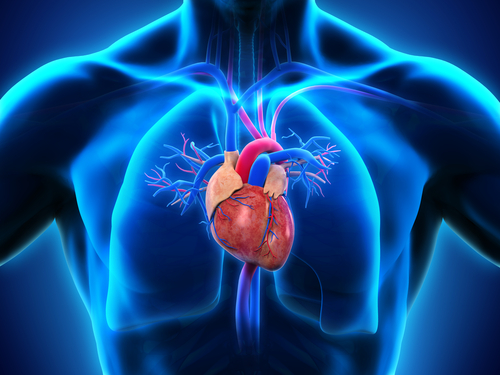 Heart Health CPD