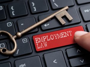 IPU Training Unit – Spring 2023 Courses